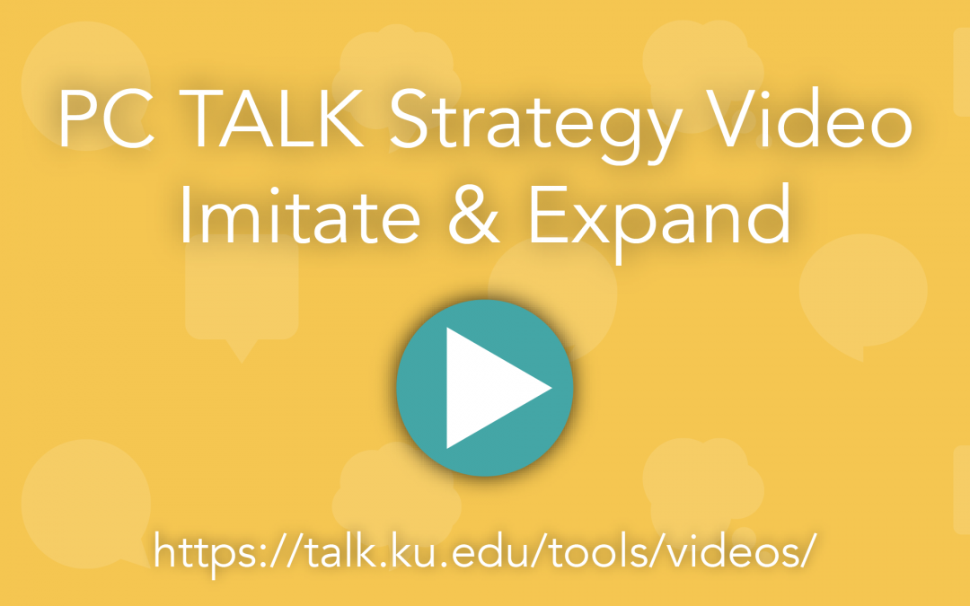 PC TALK Strategy Video: Imitate and Expand